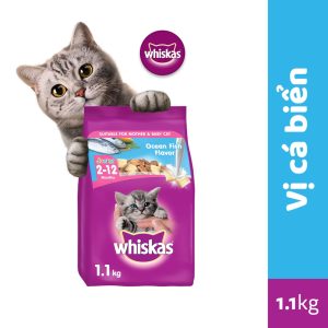 WHISKAS - Hạt Khô cho Mèo Con